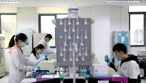 研究生被師哥師姐要求打雜，該說(shuō)“不”嗎？——新材料技術(shù)開(kāi)發(fā)中的成長(zhǎng)智慧