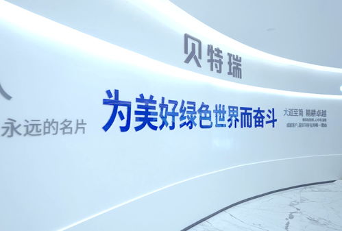 高首效硅氧負極材料奪冠灣高賽，賀雪琴深度解讀項目含金量